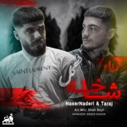 دانلود آهنگ ناصر نادری و تاراج شاخه گل